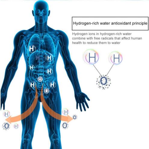 420ml Hydrogen Water Generator