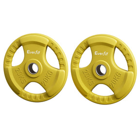 Everfit Weight Plates Standard 20kgx2 Dumbbell Barbell Plate Weight Lifting Home Gym Yellow