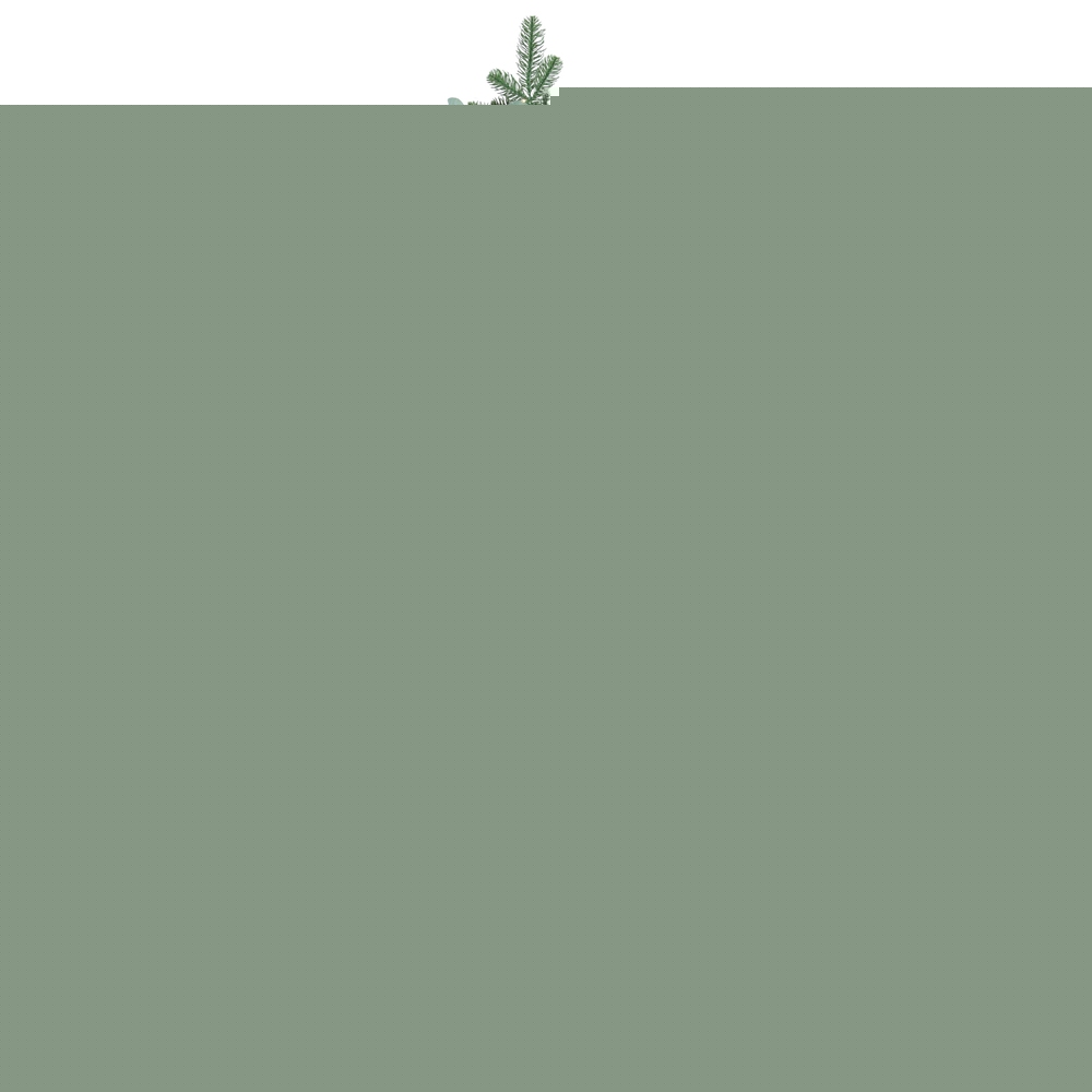 Jingle Jollys Christmas Tree 1.5m 160 LED Xmas Tree Party Decorations 355 Tips