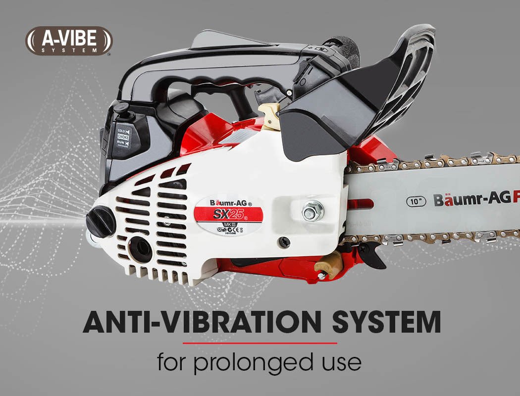 Baumr-AG 25CC Petrol Chainsaw Arborist 10 Bar Tree Pruning Garden Chain Saw - SportZone.co.nz