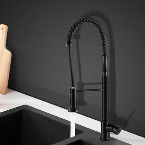 Cefito Kitchen Mixer Tap Pull Down 2 Modes Sink Faucet Basin Laundry Black - SportZone.co.nz