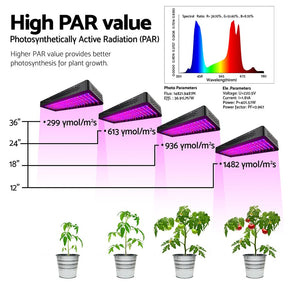 Green Fingers 2X 2000W Grow Lights LED Full Spectrum Indoor Plant All Stage Growth - SportZone.co.nz