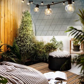 Jingle Jollys 68m LED Festoon Lights Sting Lighting Kits Wedding Outdoor Party - SportZone.co.nz