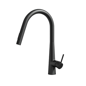 Kitchen Mixer Tap Pull Out Round 2 Mode Sink Basin Faucet Swivel WELS Black - SportZone.co.nz