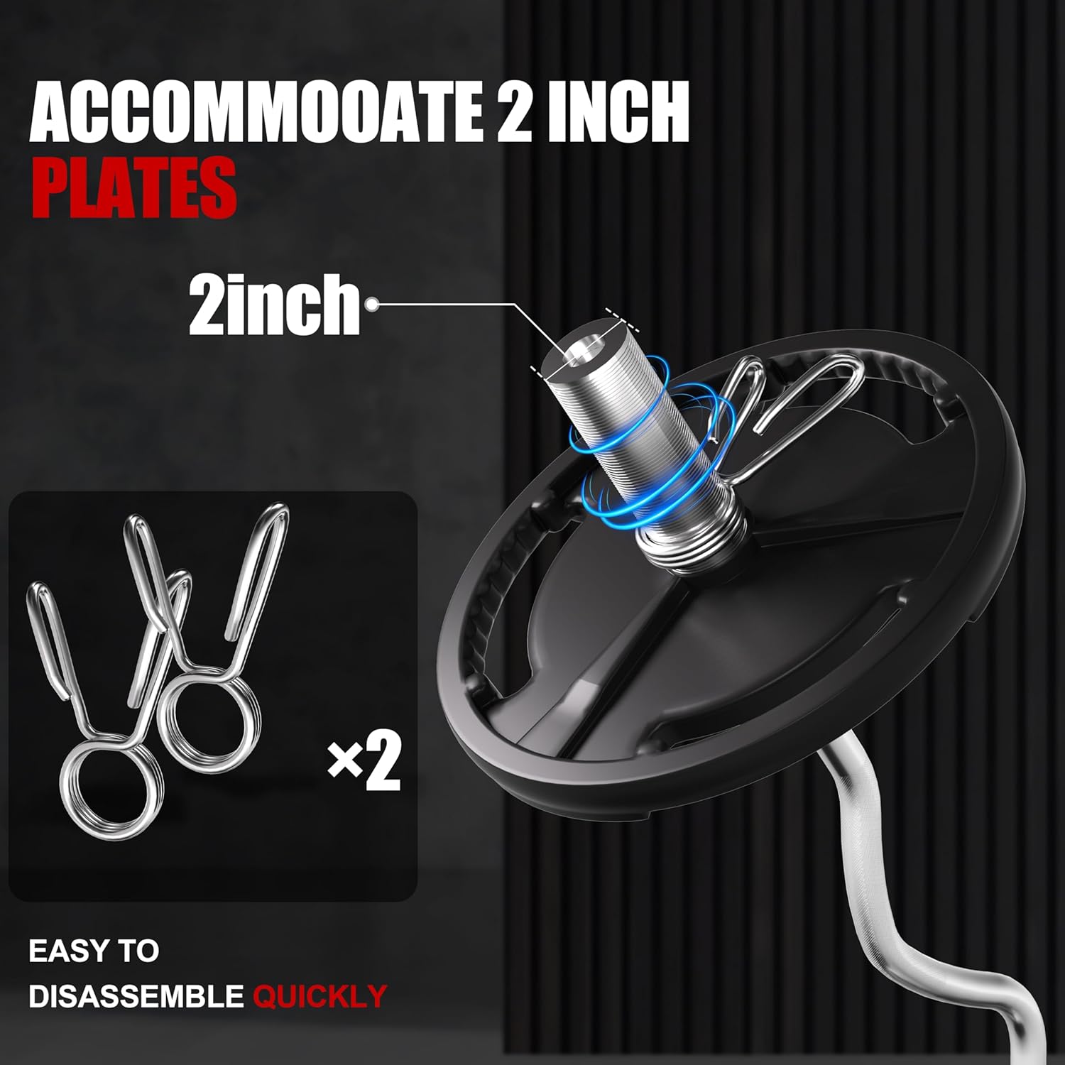 Olympic EZ Curl Bar 47" NZ – Barbell 2" Plates, 500LB Capacity - SportZone.co.nz