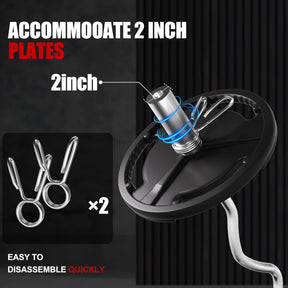 Olympic EZ Curl Bar 47" NZ – Barbell 2" Plates, 500LB Capacity - SportZone.co.nz